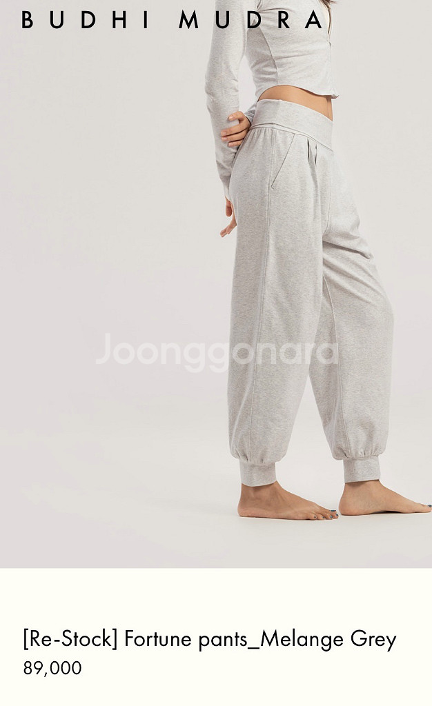 부디무드라 포츈 S--3