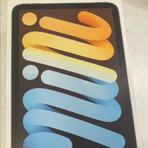 아이패드 미니7 2024 셀룰러 128G