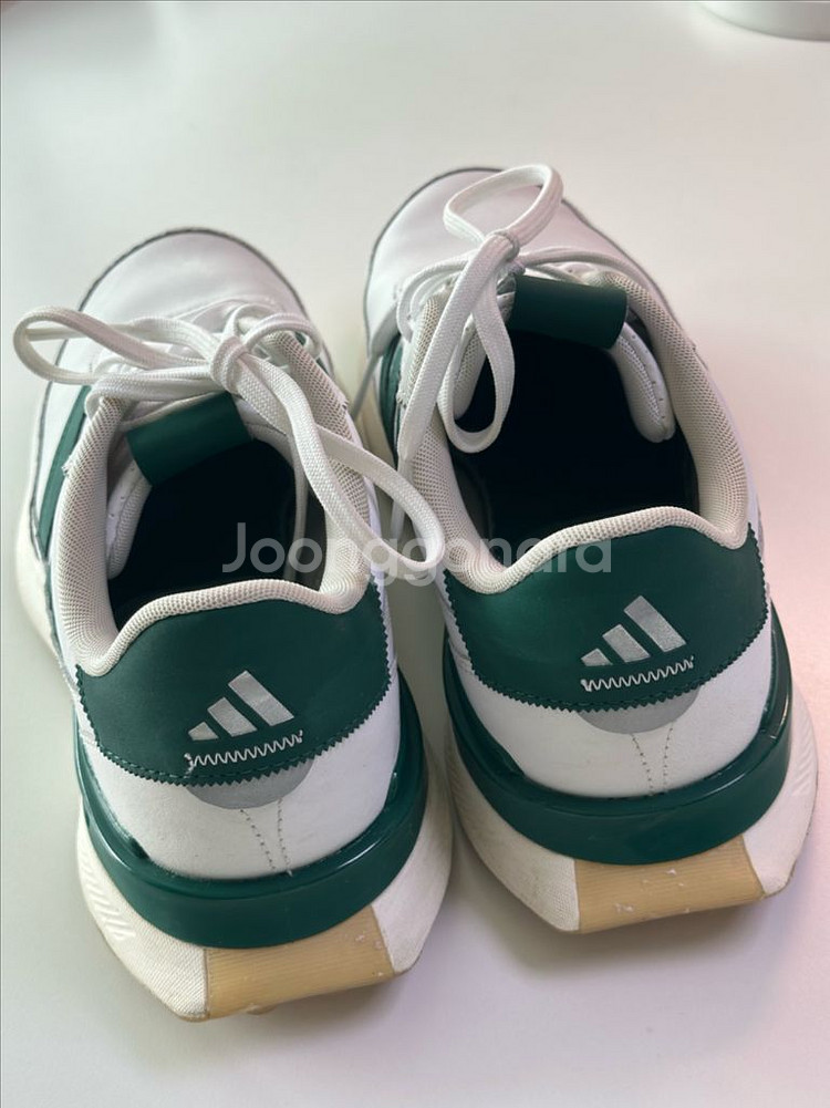 아디다스 남성 골프화 260mm (그린컬러) + 전용 가방 세트--2