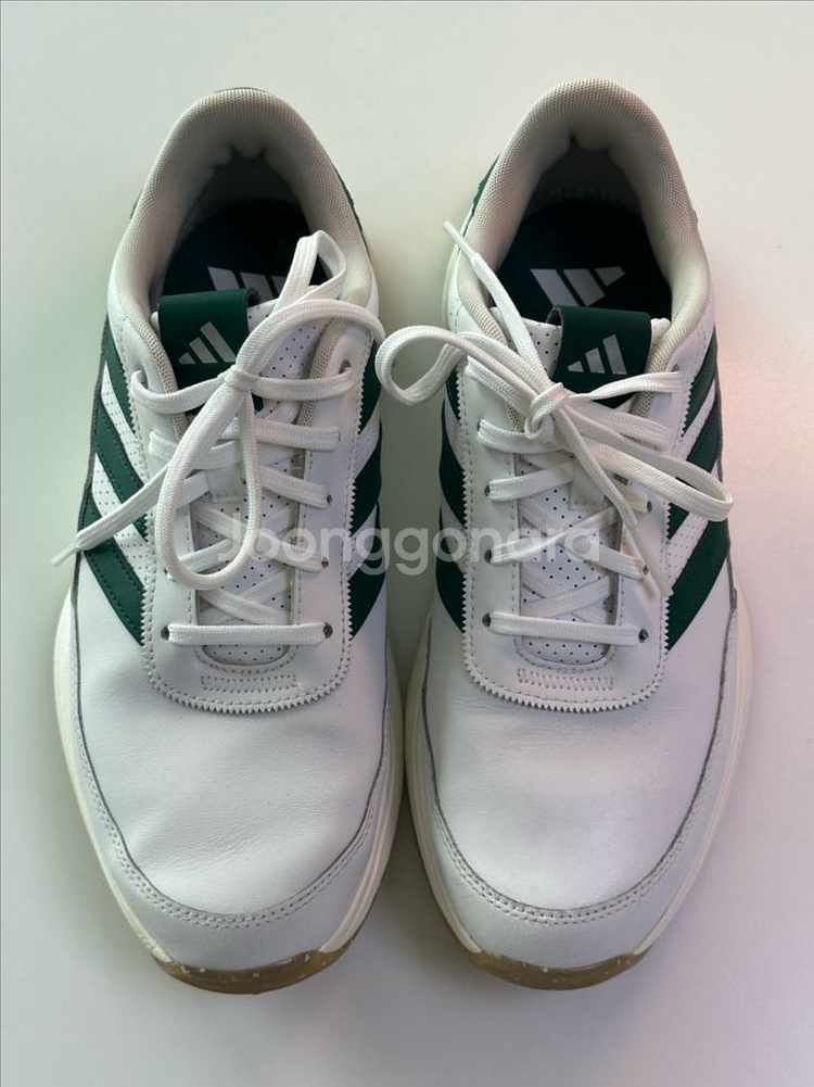 아디다스 남성 골프화 260mm (그린컬러) + 전용 가방 세트--1