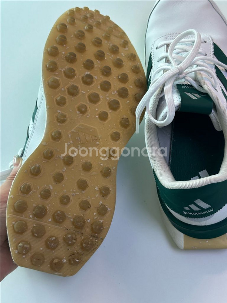 아디다스 남성 골프화 260mm (그린컬러) + 전용 가방 세트--6