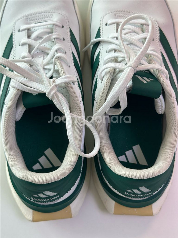 아디다스 남성 골프화 260mm (그린컬러) + 전용 가방 세트--3