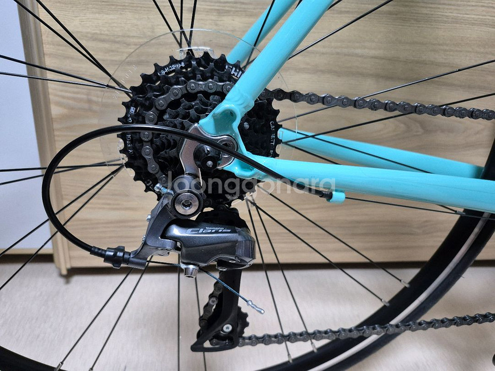 24년형 비앙키 니로네 7 클라리스 로드 자전거 민트--3