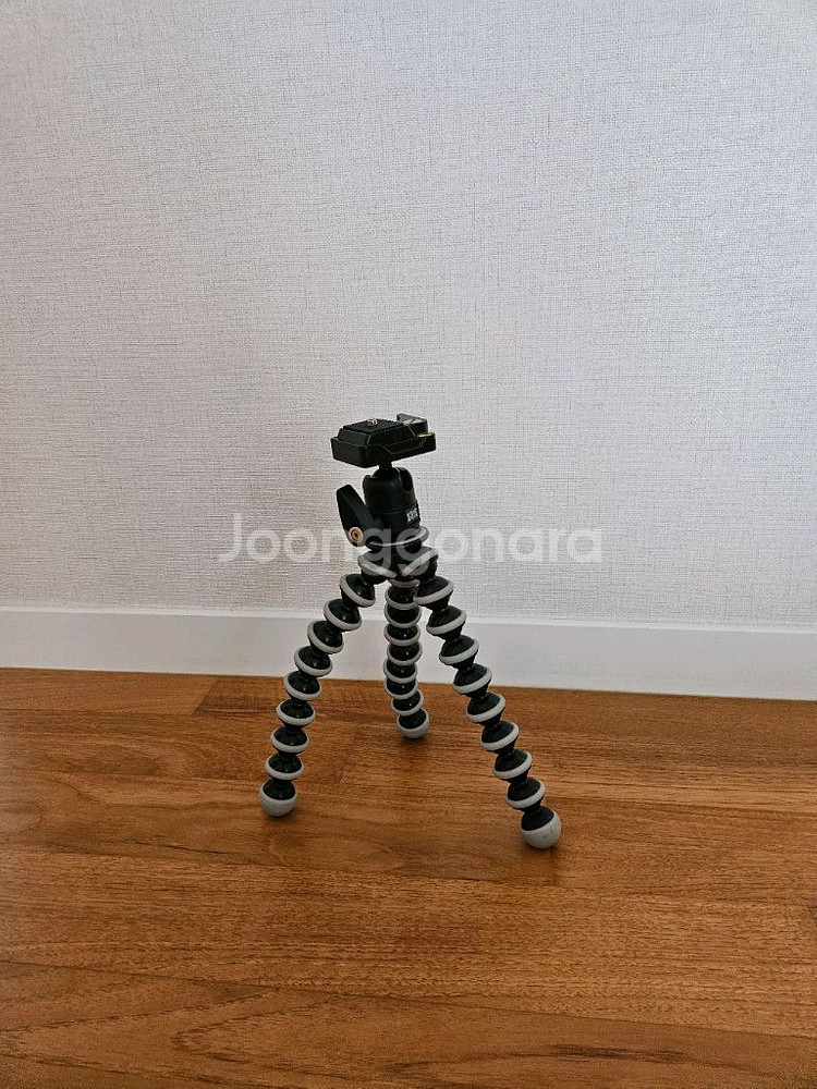 쌤소나이트 카메라가방과 고릴라 삼각대--6