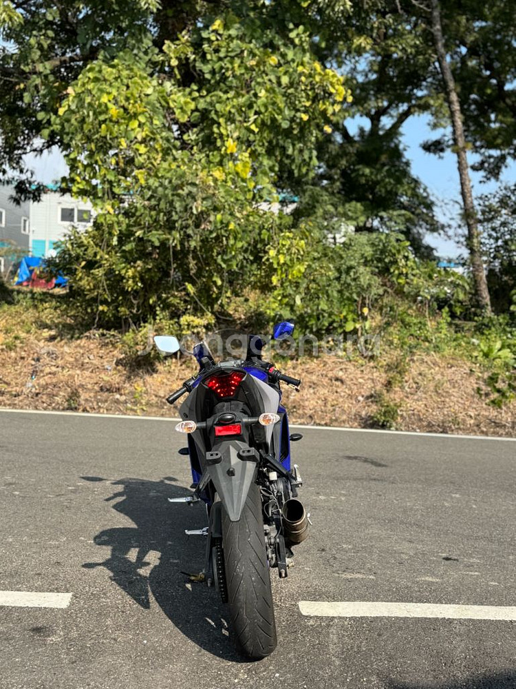 야마하 R3 (2020)--6