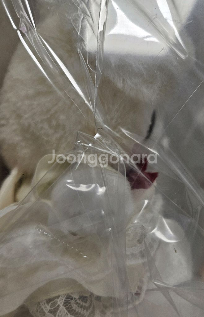 산리오 마이멜로디 딸기 쇼트케이크 누이 인형 세트 판매--3