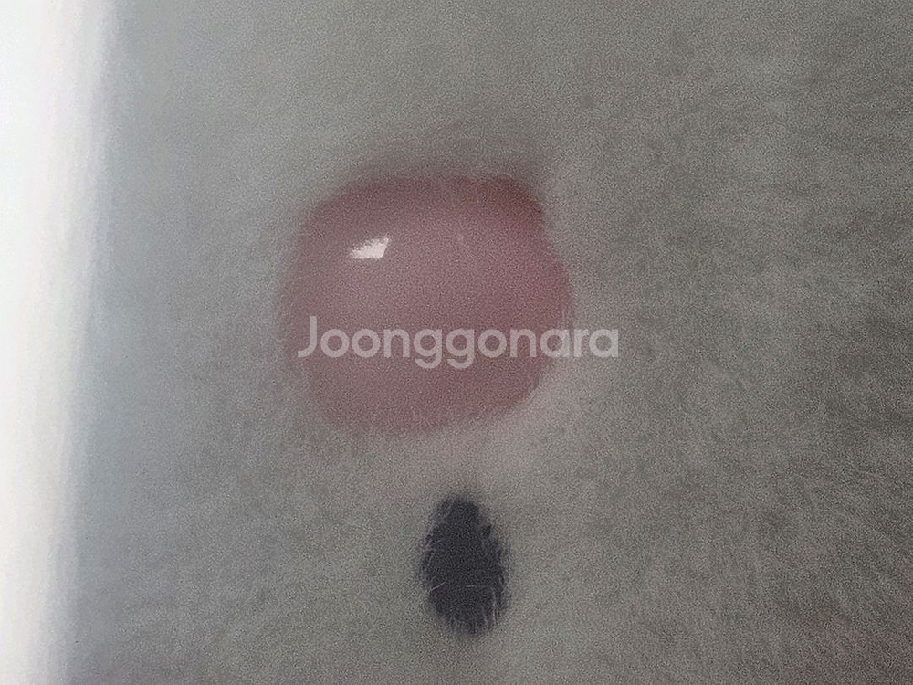 산리오 마이멜로디 딸기 쇼트케이크 누이 인형 세트 판매--8