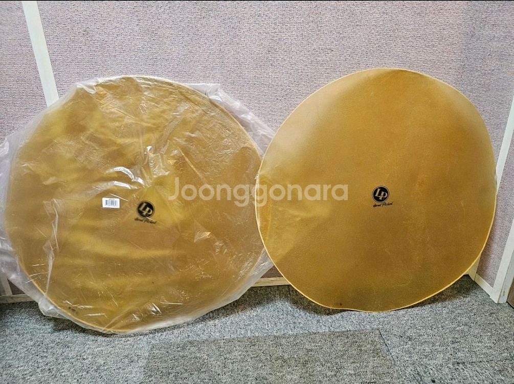 콩가 가죽 헤드 (새상품)--0