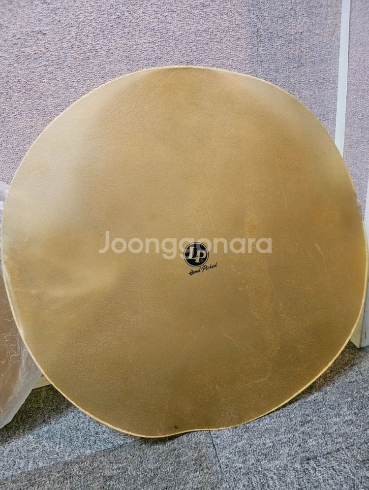 콩가 가죽 헤드 (새상품)--1