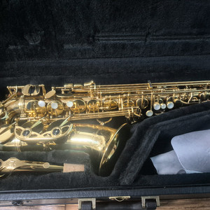 야나기사와 알토901