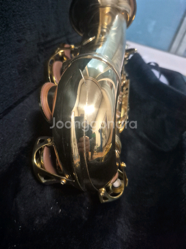 야나기사와 알토901--6