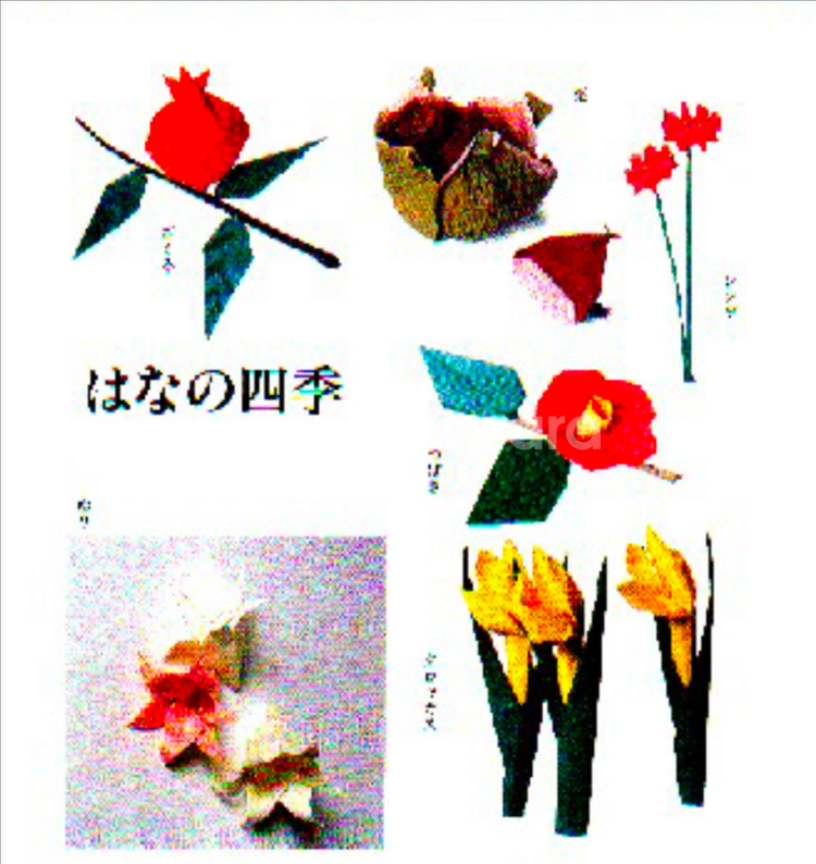 종이 접기 관련 서적 100권--2