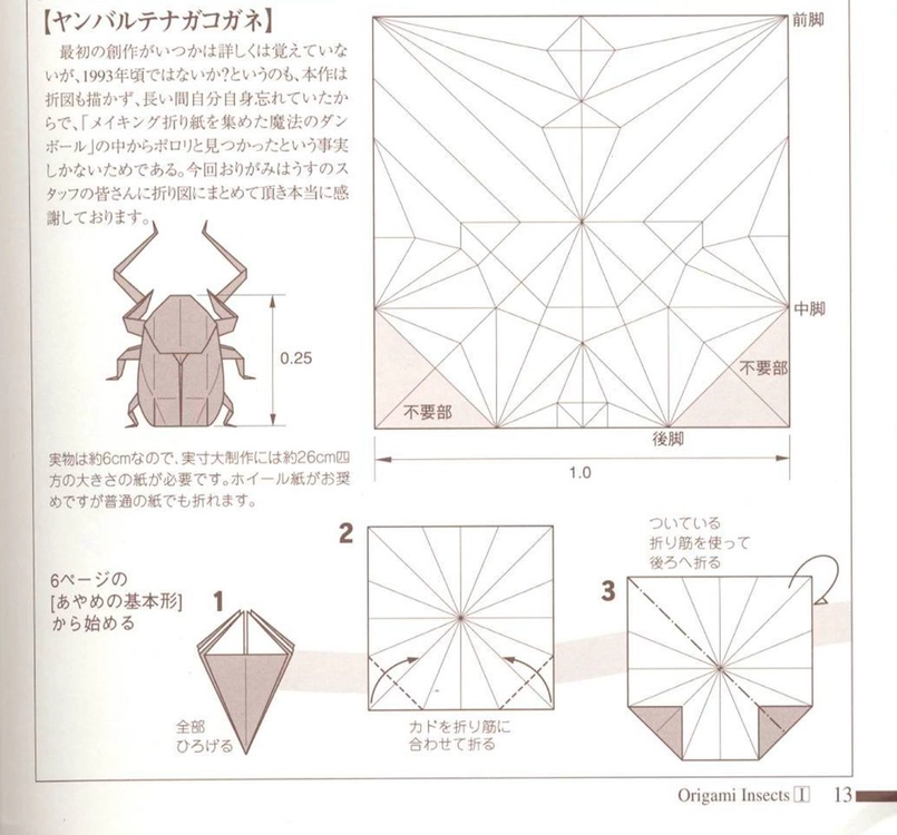종이 접기 관련 서적 100권 이미지