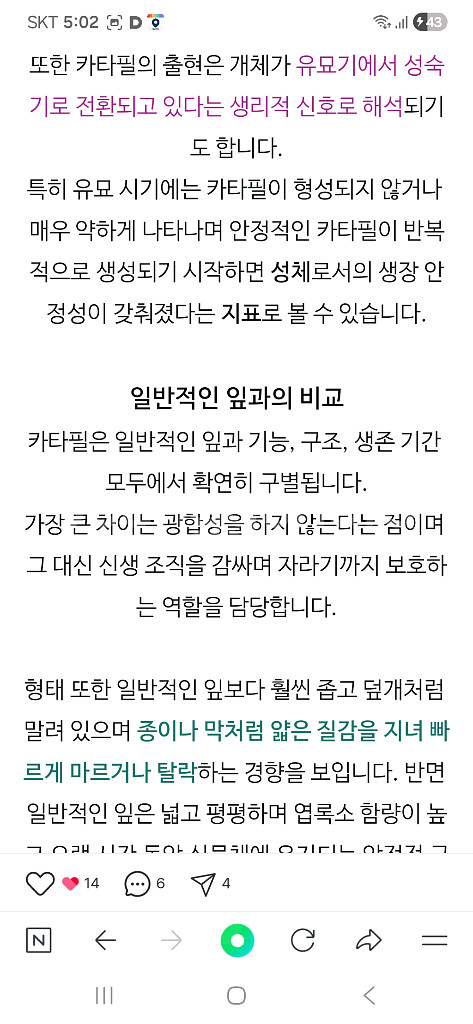 럭셔리안스 하이브리드바리에가타 무천이--9