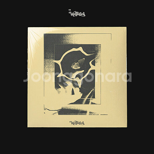 비아이 3집 원더랜드 엘피 바이닐 미개봉 앨범 lp vinyl--0