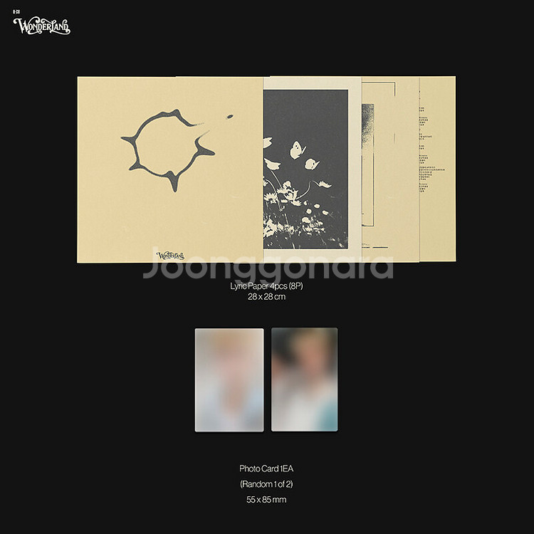 비아이 3집 원더랜드 엘피 바이닐 미개봉 앨범 lp vinyl--2