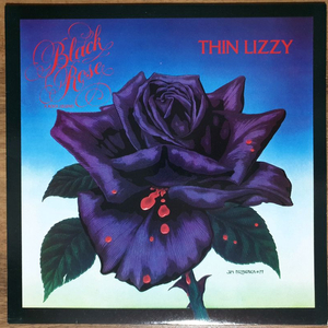 헤비메탈 LP THIN LIZZY