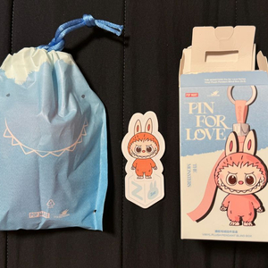 라부부 미니 내 마음속 비밀번호 키링 (팝마트 정품)