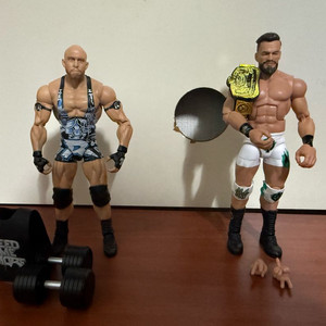 WWE UFC 액션피규어