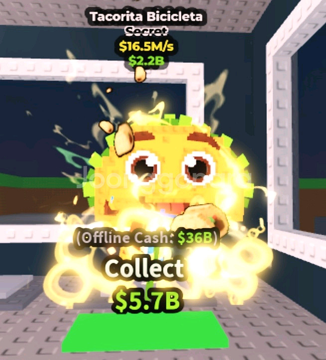 브레인롯즈 훔치기 16.5M 타코리타--0