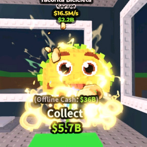 브레인롯즈 훔치기 16.5M 타코리타