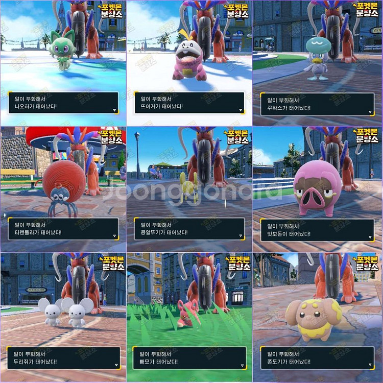 알로치 포켓몬 / 스칼렛 바이올렛 / 닌텐도 스위치--0