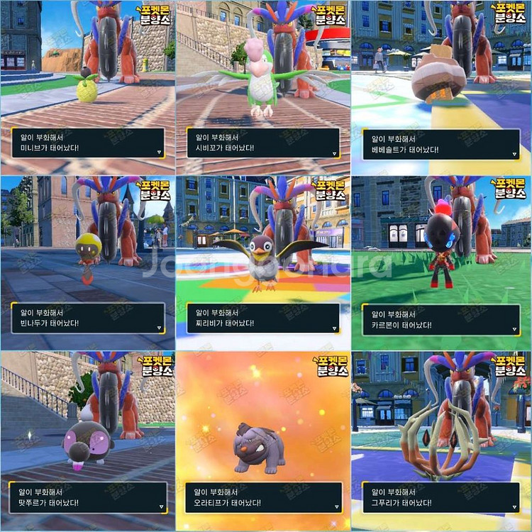 알로치 포켓몬 / 스칼렛 바이올렛 / 닌텐도 스위치--2