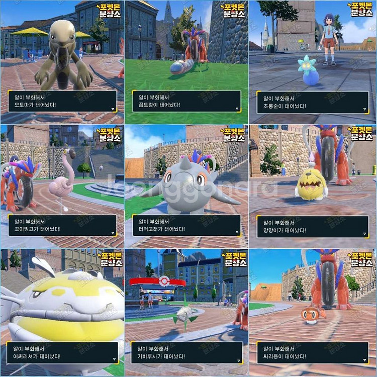 알로치 포켓몬 / 스칼렛 바이올렛 / 닌텐도 스위치--3