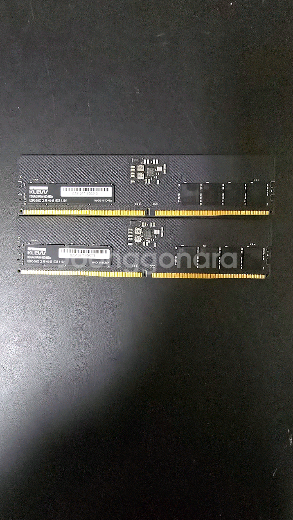 에센코어 klevv ddr5-5600 16gb 2개--0