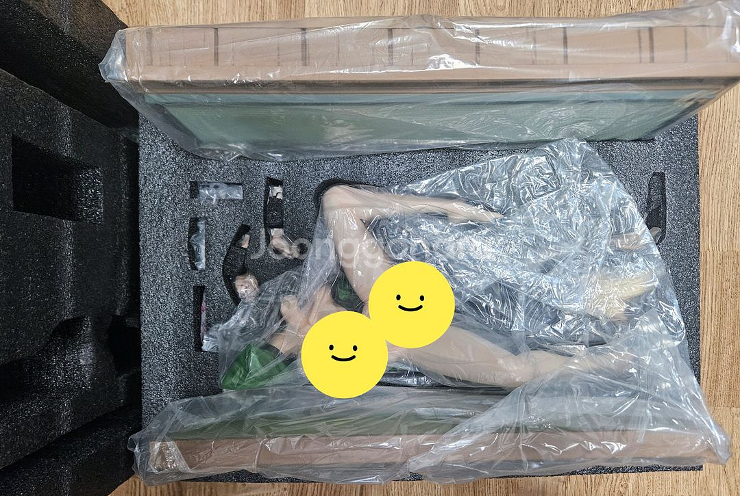 prpr 츠나데 1/4 레진 피규어 판매합니다--0