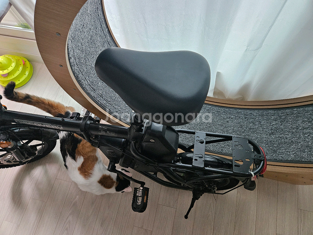 레이윙 디스커버리 D18 전기자전거--1