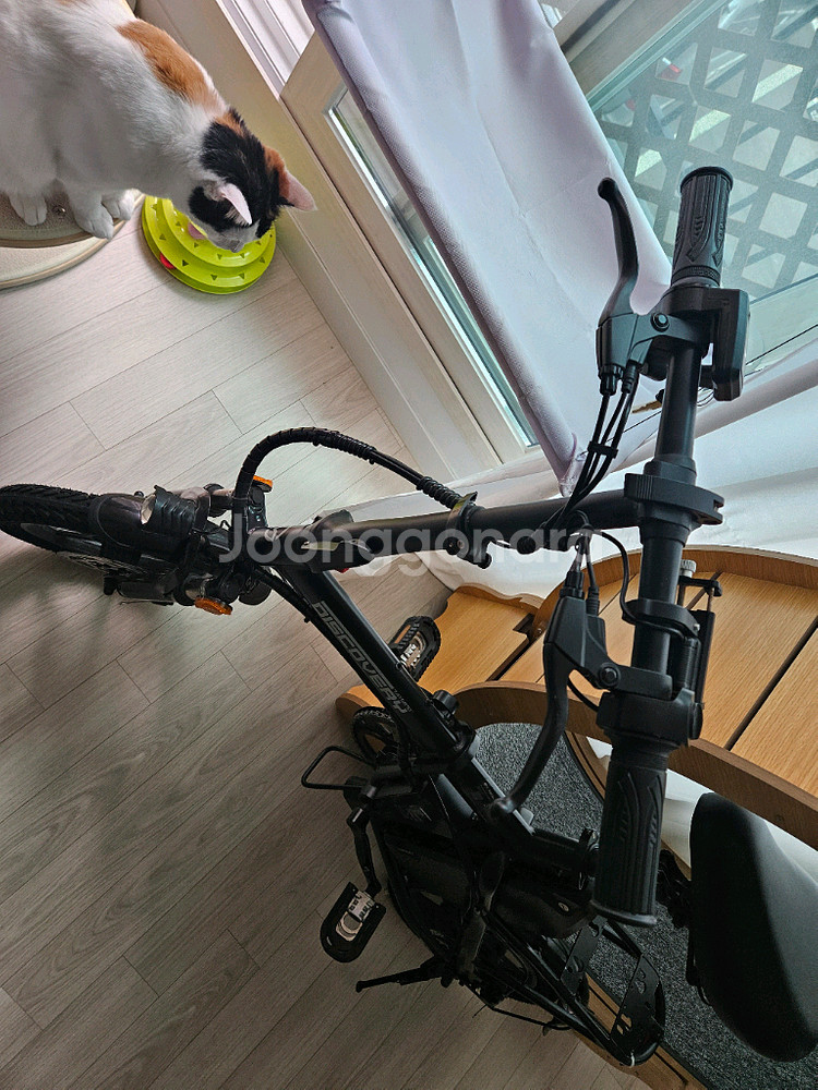 레이윙 디스커버리 D18 전기자전거--4