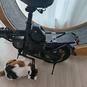 레이윙 디스커버리 D18 전기자전거