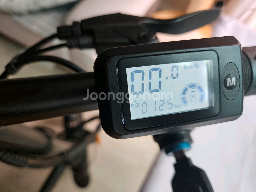 레이윙 디스커버리 D18 전기자전거--5