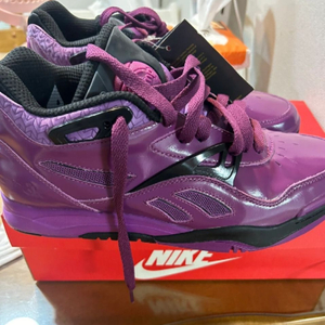 리복 코트 빅토리 펌프 농구화 270