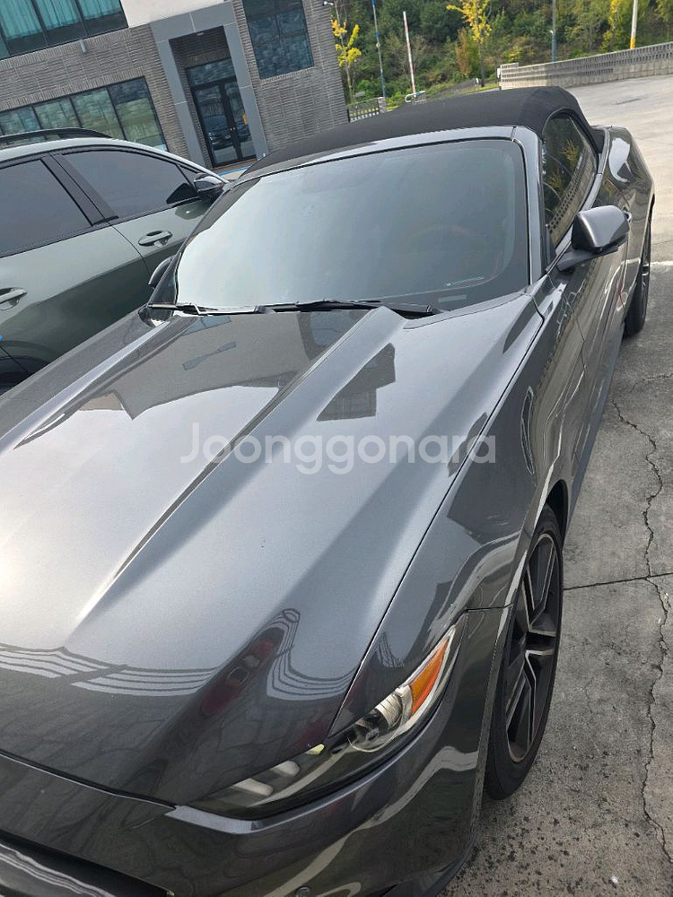 포드 머스탱 6.5세대 에코 컨버터블--0