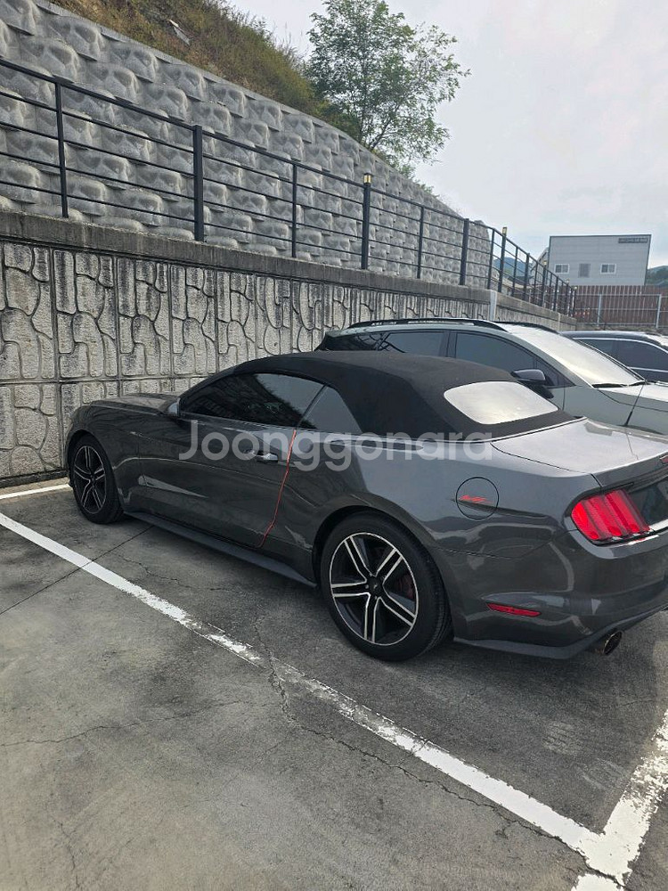 포드 머스탱 6.5세대 에코 컨버터블--1