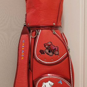 + 테일러메이드 + 여성용 골프채 풀세트