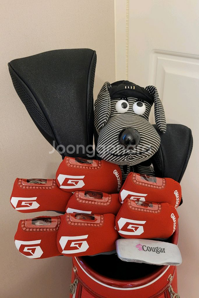 + 테일러메이드 + 여성용 골프채 풀세트--2