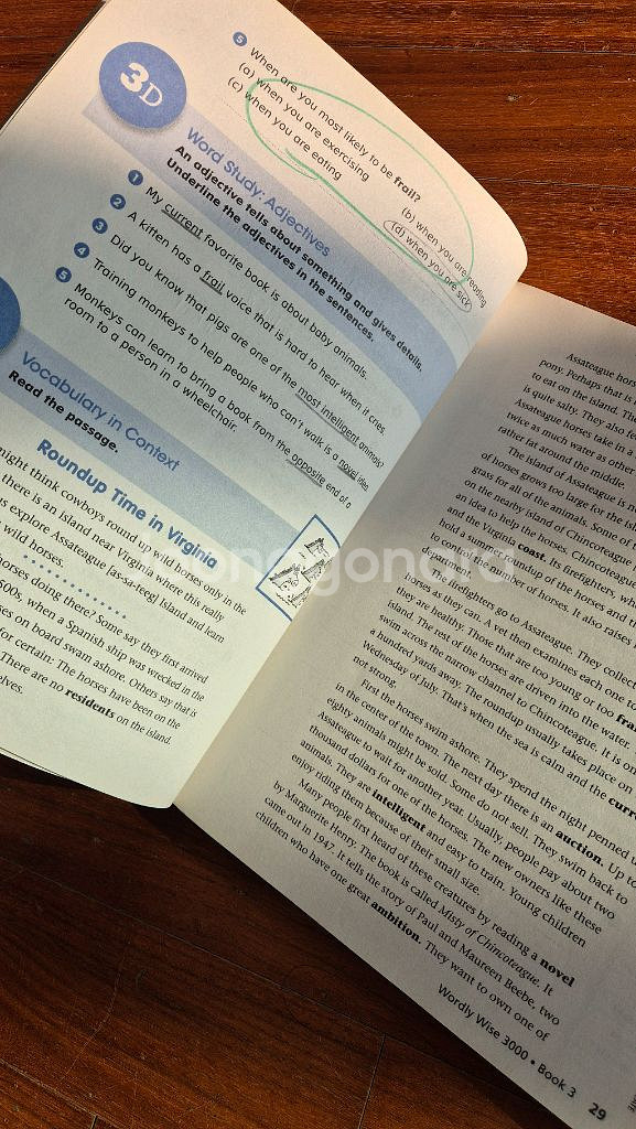 Worldly wise 3000 Grade 3--5