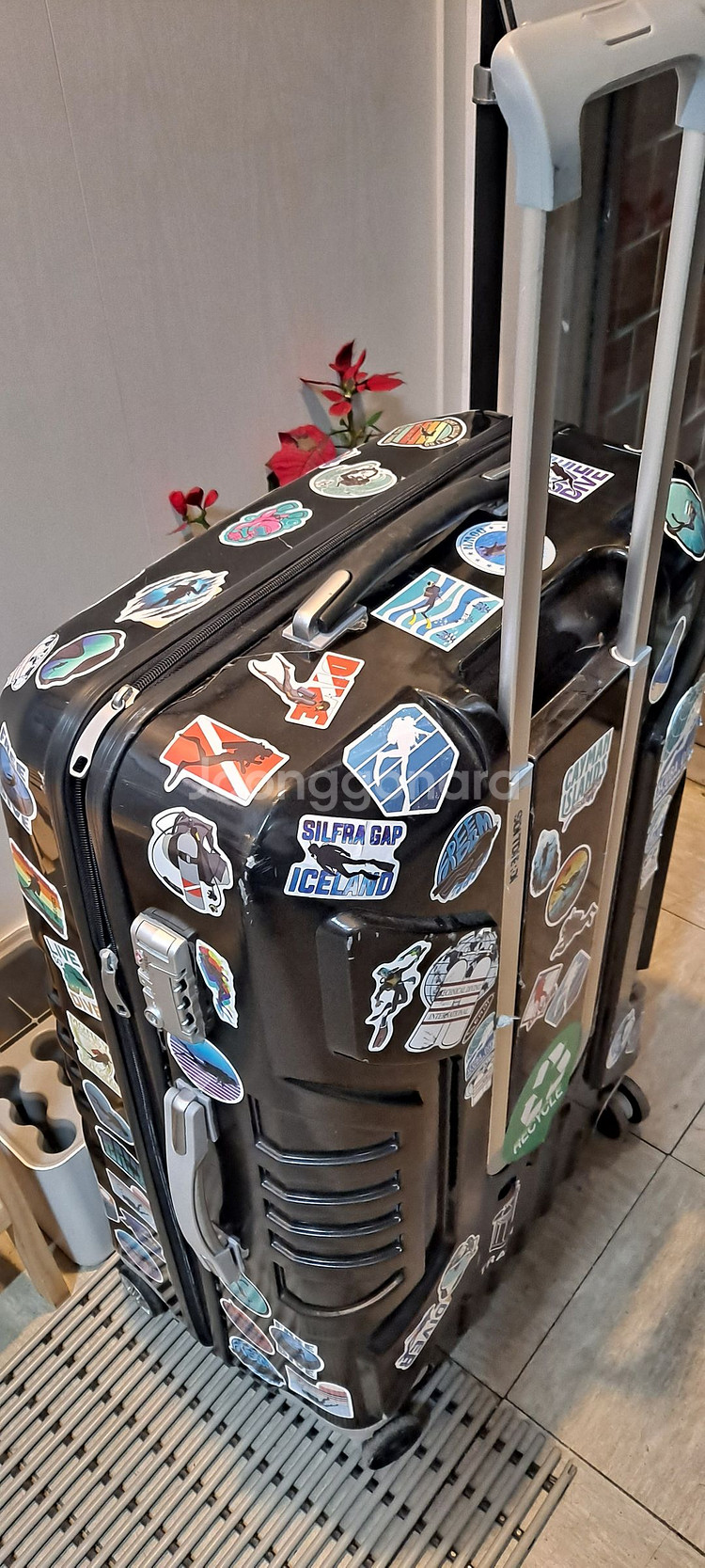 스쿠버 다이빙 캐리어 SDI TDI 하드캐리어 스킨스쿠버 롤백--6