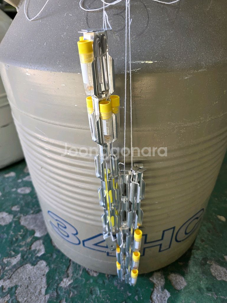 Taylor-Wharton 34HC 액체질소통--3