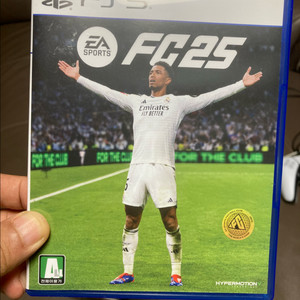 PS5 FC25 (FIFA 25)
