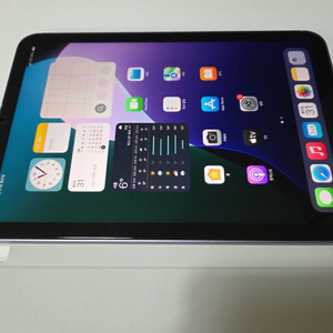아이패드 미니 6세대 셀룰러 64GB 퍼플