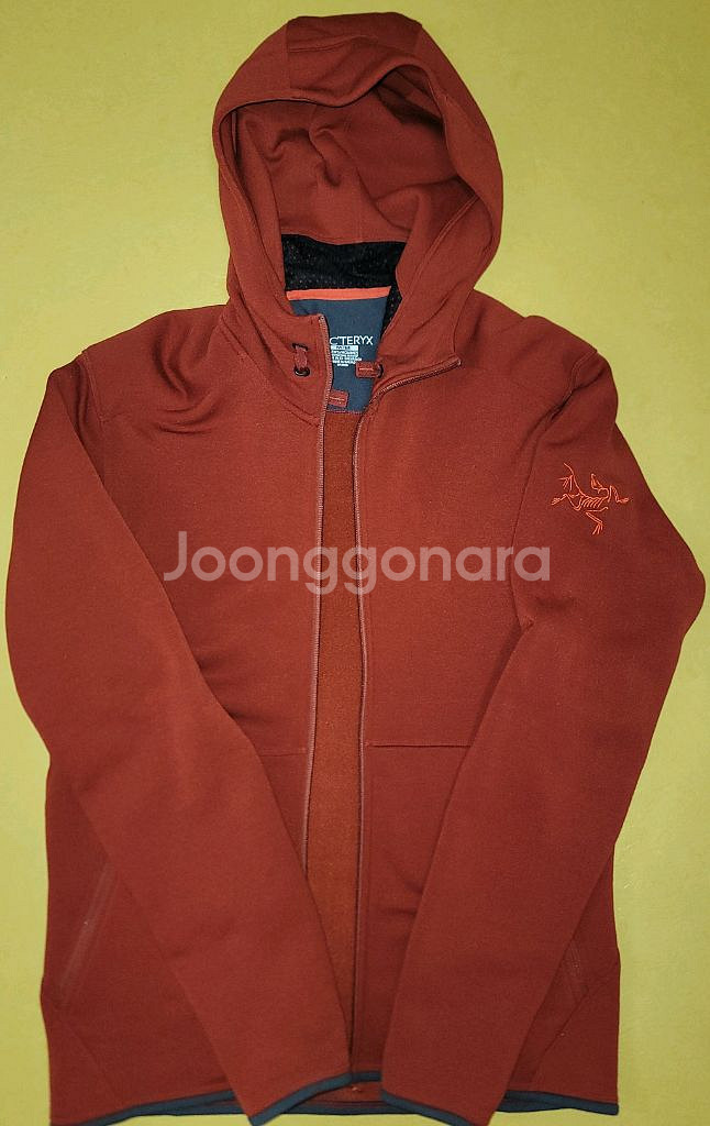 아크테릭스 로럼후디--0