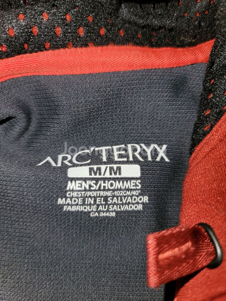 아크테릭스 로럼후디--2