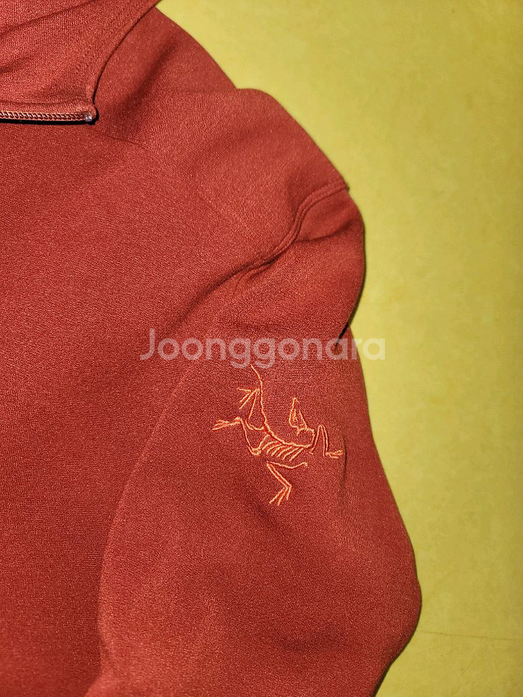 아크테릭스 로럼후디--1