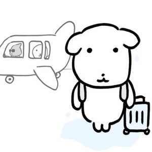 카이스트 과잠 구매합니다! 야잠 학잠 과잠바