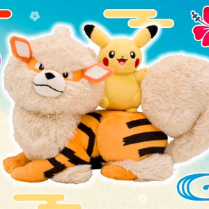 포켓몬센터 오키나와 1주년 기념 윈디 피카츄 봉제인형