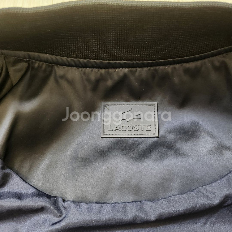 라코스테 블루종--7